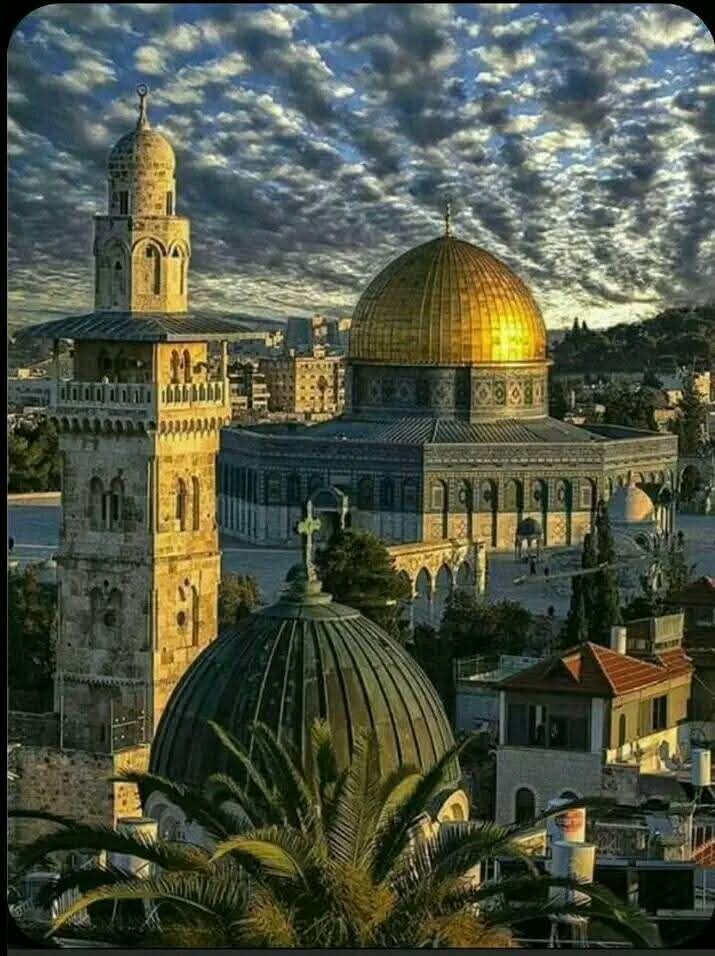 Israeli Occupation in Gaza