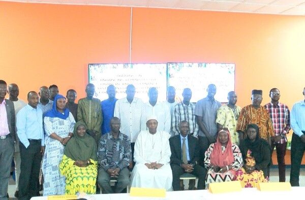 Local government commission of inquiry