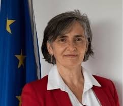 EU & National Youth Parliament